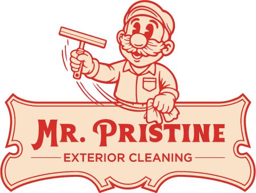 Mr. Pristine Cleaning
